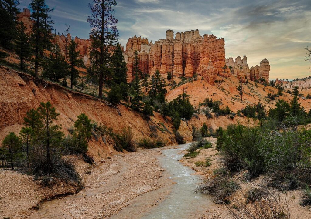 Reksa Dana vs Saham: Mana yang Lebih Cocok untuk Profil Risiko Anda?