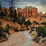 Reksa Dana vs Saham: Mana yang Lebih Cocok untuk Profil Risiko Anda?