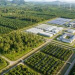 Transformasi Sektor Perkebunan Indonesia Langkah Strategis BPDP Dorong Riset, PSR, dan Kelapa Dunia